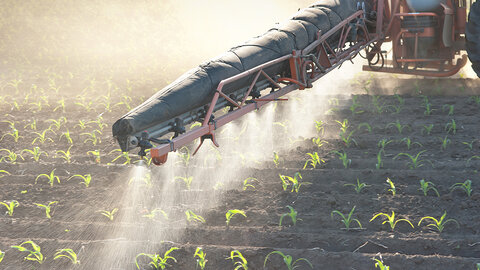 tractor applying nitrogen to corn field